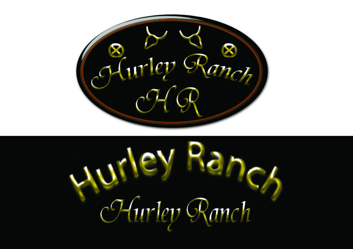 Logo Design by kazzgem for this project | Design #1084003