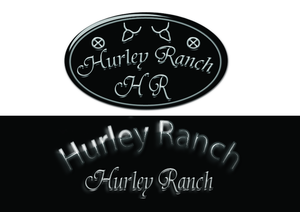 Logo Design by kazzgem for this project | Design #1084008