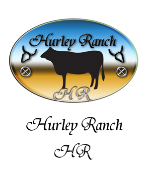 Logo Design by kazzgem for this project | Design: #1091022