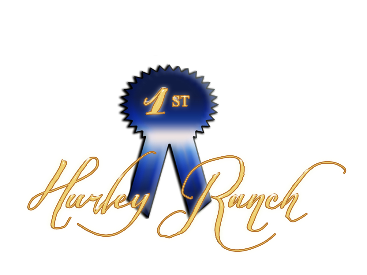 Logo Design by kazzgem for this project | Design #1093839