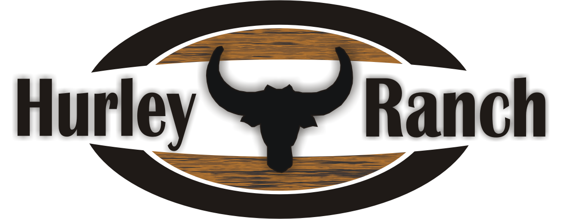 Logo Design by Muneeb Khan for this project | Design #1082605