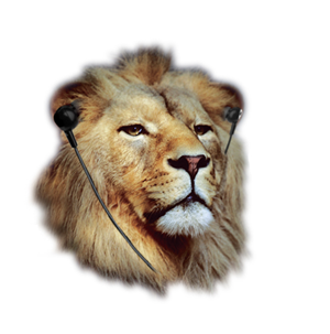 Illustration Design by exoddinary for this project | Design: #3987735