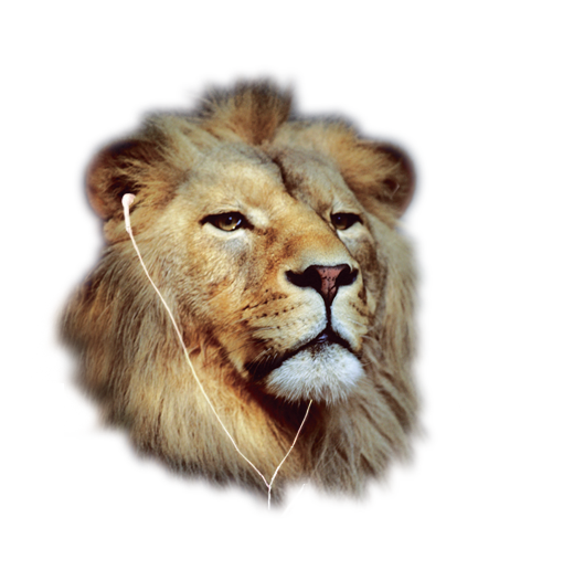 Illustration Design by Shark1906 for this project | Design #3989152