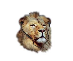 Illustration Design by Rome for this project | Design: #3988031