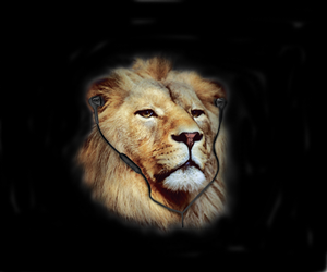 Illustration Design by Rome for this project | Design: #3988036