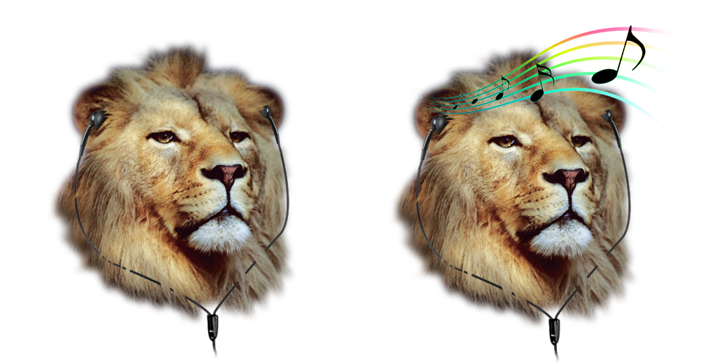 Illustration Design by MNM for this project | Design #3988256