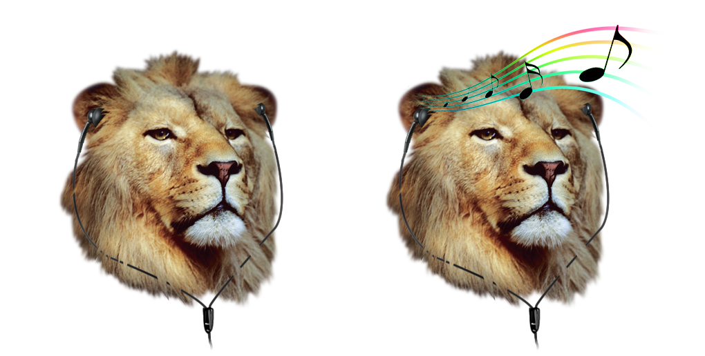 Diseño Con Ilustración por MNM para este proyecto | Diseño #3988315