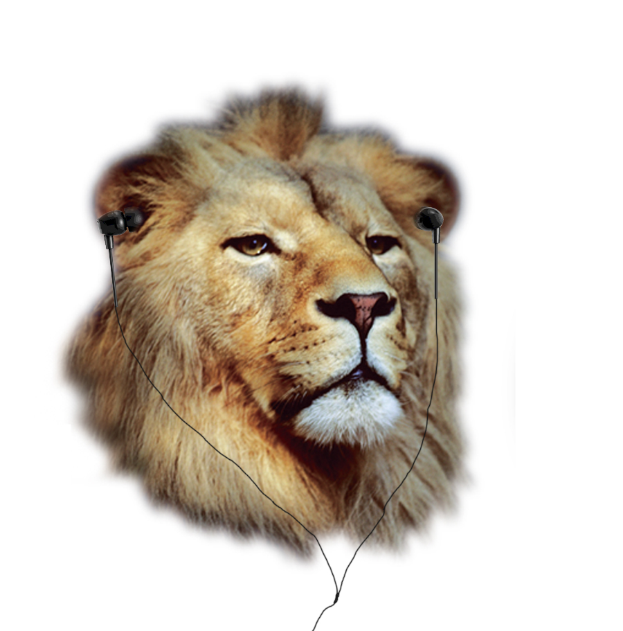 Illustration Design by Rebecca Turner for this project | Design #3988132