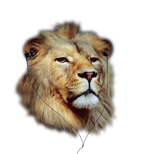 Illustration Design by Rebecca Turner for this project | Design: #3988132