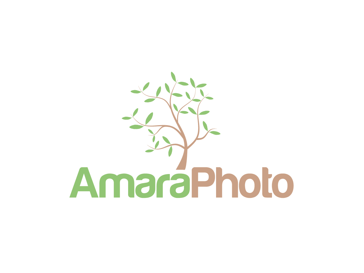 Logo Design by Pv_999 for this project | Design #1083544