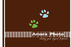 Logo Design by Amith