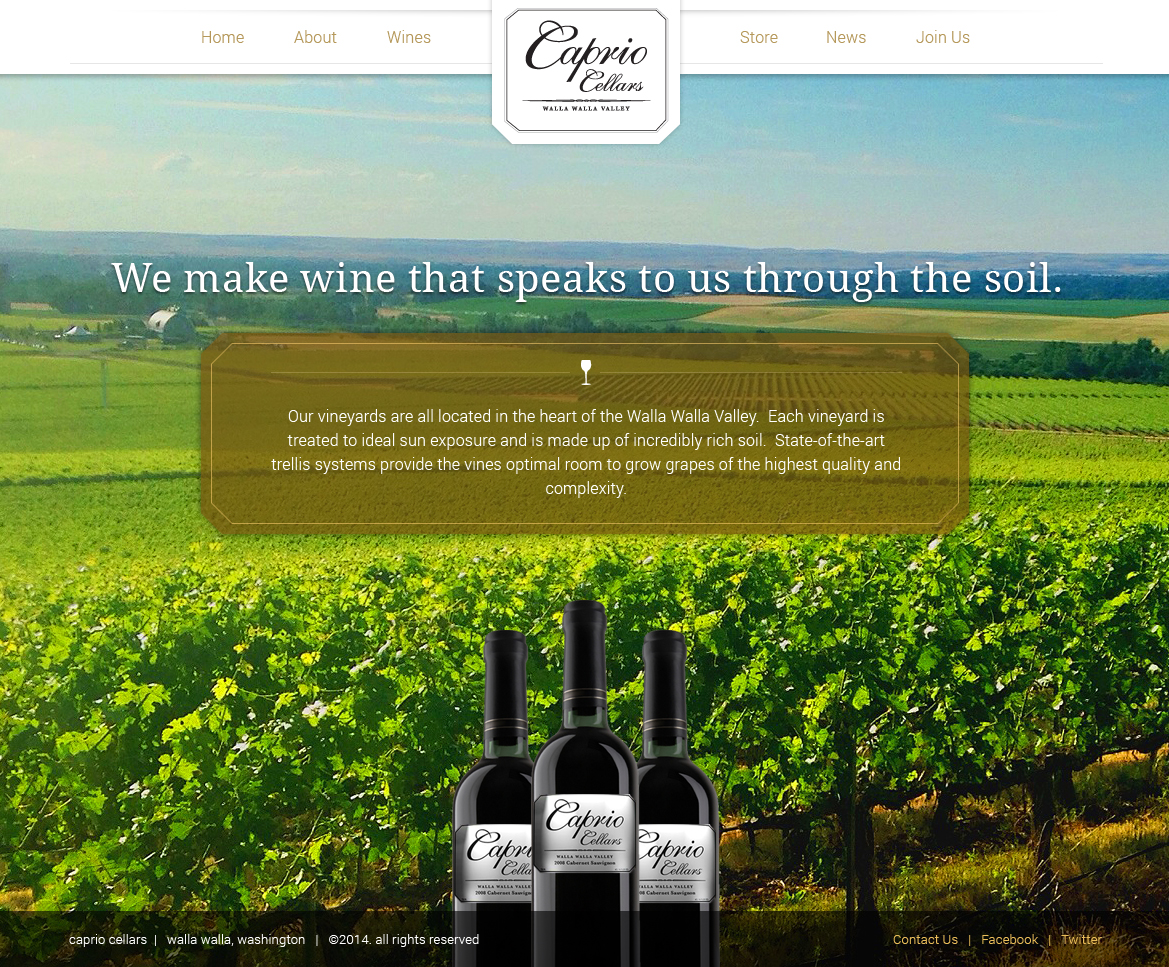 Diseño Web por bllablla para PageTree | Diseño #3990642