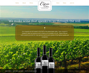 Web Design by bllablla for PageTree | Design #3990642