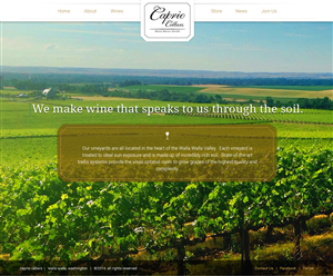 Web Design by bllablla for PageTree | Design: #4003967
