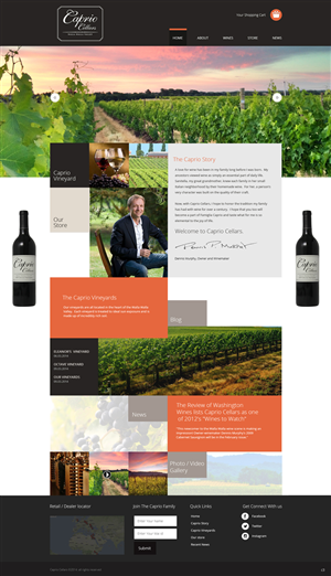 Web Design by pb for PageTree | Design: #3999559