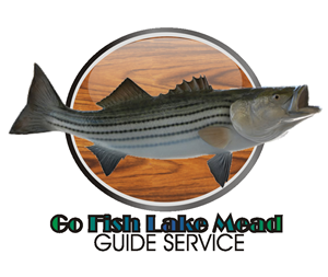 Logo Design by kess