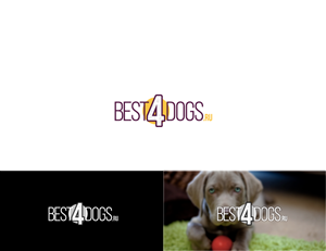 Diseño de Logo por Studiok91 para este proyecto | Diseño #4004638