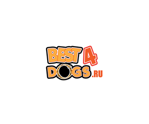 Design de Logo par anushka_snigdha pour ce projet | Design : #4086099