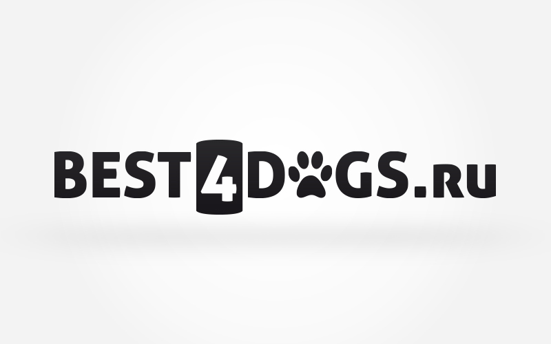 Logo Design by TheBrandForYou.Com for this project | Design #4018525