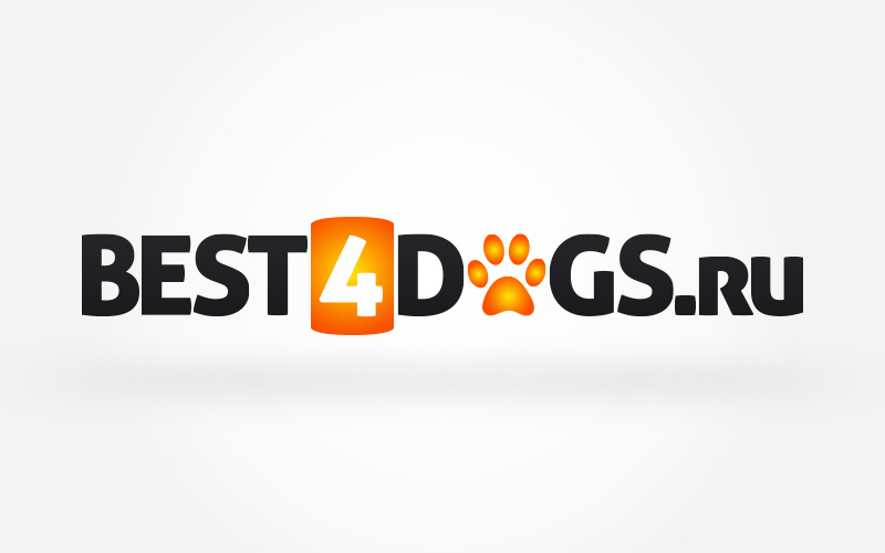 Logo Design by TheBrandForYou.Com for this project | Design #4099995