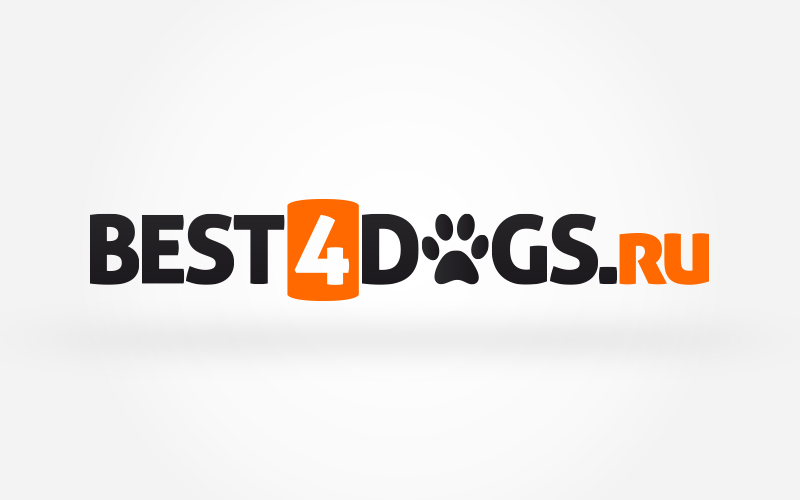 Diseño de Logo por TheBrandForYou.Com para este proyecto | Diseño #4100437