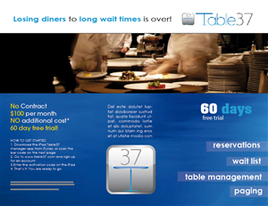 Brochure Design by Synergise Design