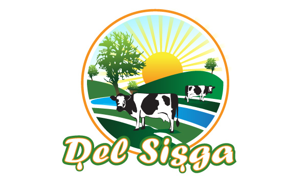 Logo Design by parshdelhi for this project | Design #1196634