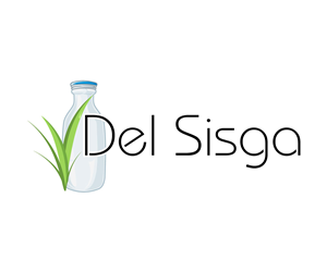 Logo Design by ARyanDesign