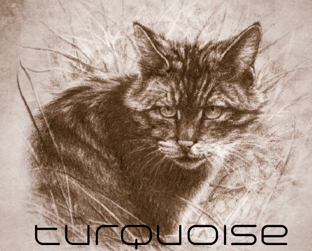 Design de Logo par Rastislav pour HOBS | Design #1116688