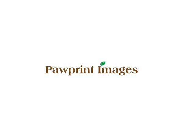 Logo Design by CityTop for this project | Design #143432
