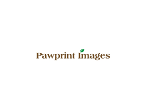 Logo Design by CityTop for this project | Design: #143432