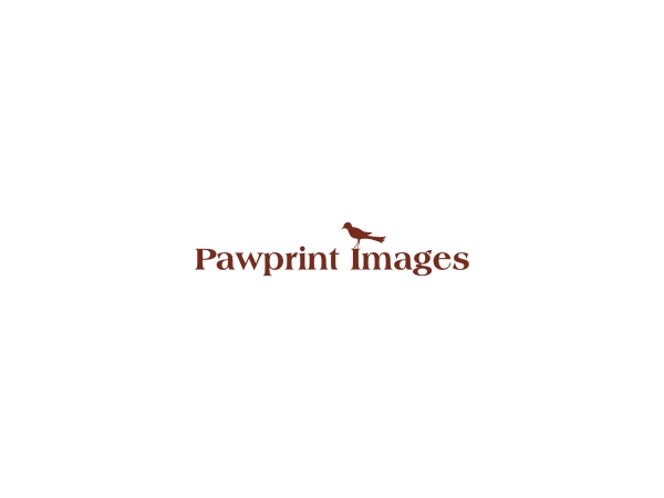 Logo Design by CityTop for this project | Design #143498