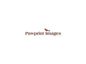 Logo Design by CityTop for this project | Design: #143498