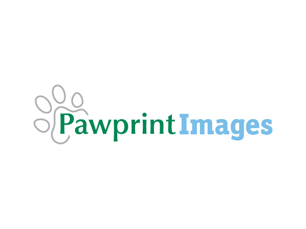 Logo Design by C Corner for this project | Design #146227