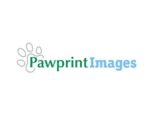 Design de Logo par C Corner pour ce projet | Design #146227
