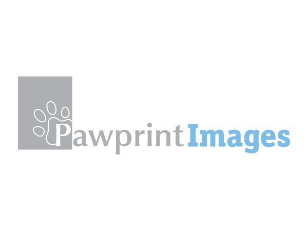 Logo Design by C Corner for this project | Design #146231