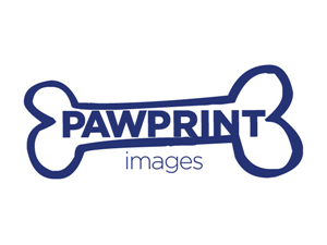 Logo Design by cubiix  for this project | Design: #147260