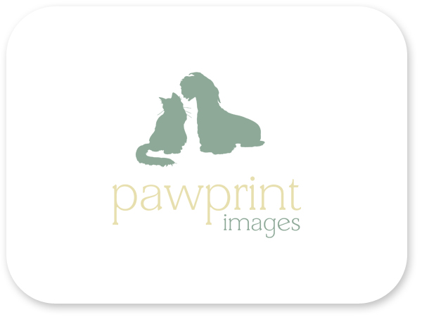 Logo Design by Bri Williams-Powell for this project | Design #142488