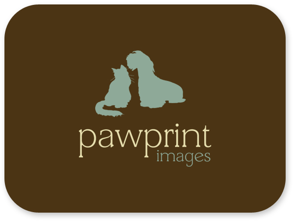 Logo Design by Bri Williams-Powell for this project | Design #142490