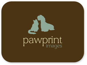 Logo Design by Bri Williams-Powell for this project | Design: #142490