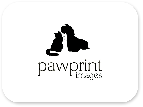 Logo Design by Bri Williams-Powell for this project | Design #142493