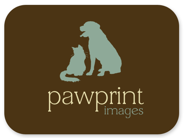 Logo Design by Bri Williams-Powell for this project | Design #143333