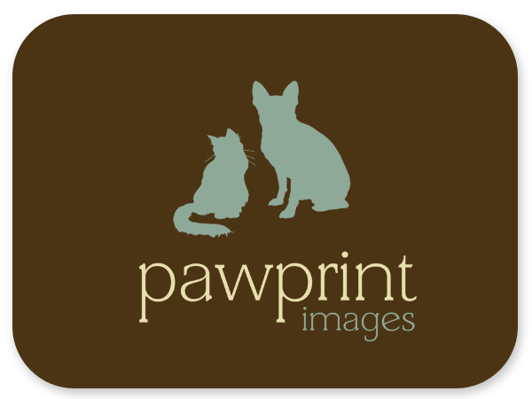 Logo Design by Bri Williams-Powell for this project | Design #143335