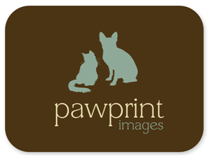 Logo Design by Bri Williams-Powell for this project | Design: #143335