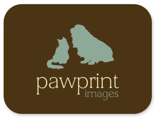 Logo Design by Bri Williams-Powell for this project | Design #143338
