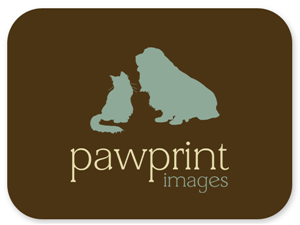 Logo Design by Bri Williams-Powell for this project | Design: #143338