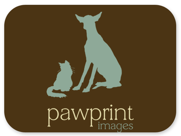 Logo Design by Bri Williams-Powell for this project | Design #143340