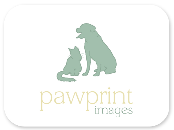 Logo Design by Bri Williams-Powell for this project | Design #145922