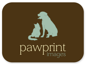 Logo Design by Bri Williams-Powell