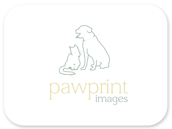 Logo Design by Bri Williams-Powell for this project | Design #146526